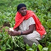 a lady farming