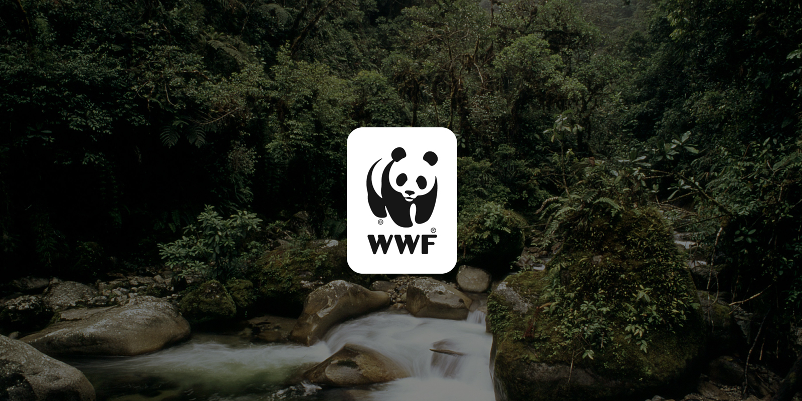 WWF Endangered Species Conservation World Wildlife Fund
